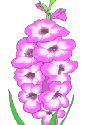 this flower is purple
