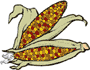 corn