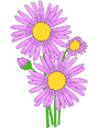 Purple Flowers