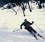 Skier